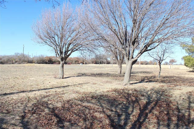 view of yard featuring a rural view