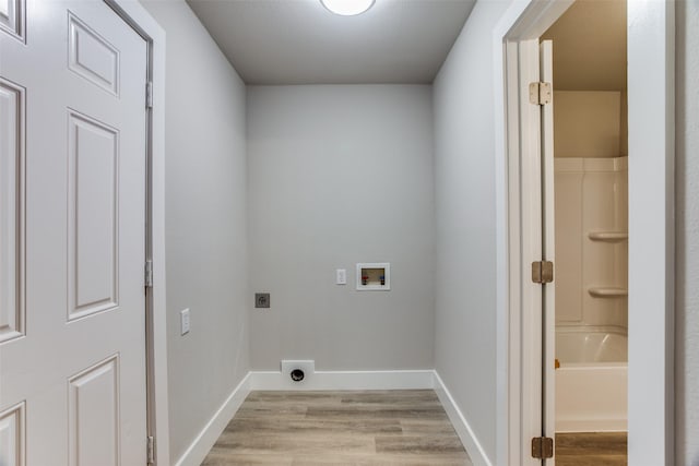 laundry area featuring electric dryer hookup, washer hookup, and light hardwood / wood-style flooring