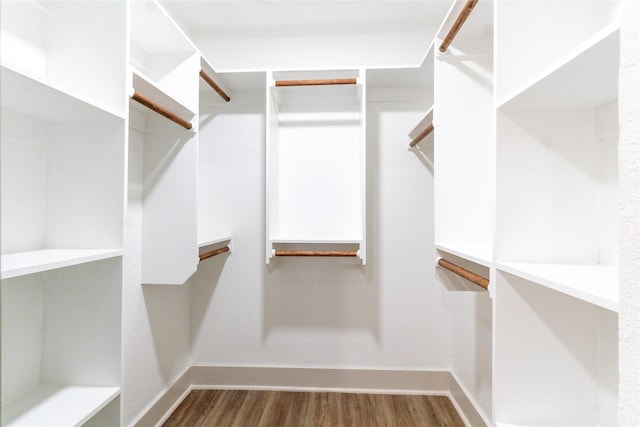 walk in closet with hardwood / wood-style flooring