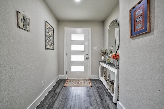 entryway featuring dark wood-type flooring