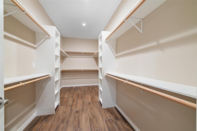 walk in closet with dark hardwood / wood-style flooring