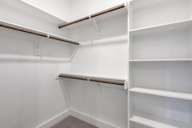 spacious closet featuring carpet floors