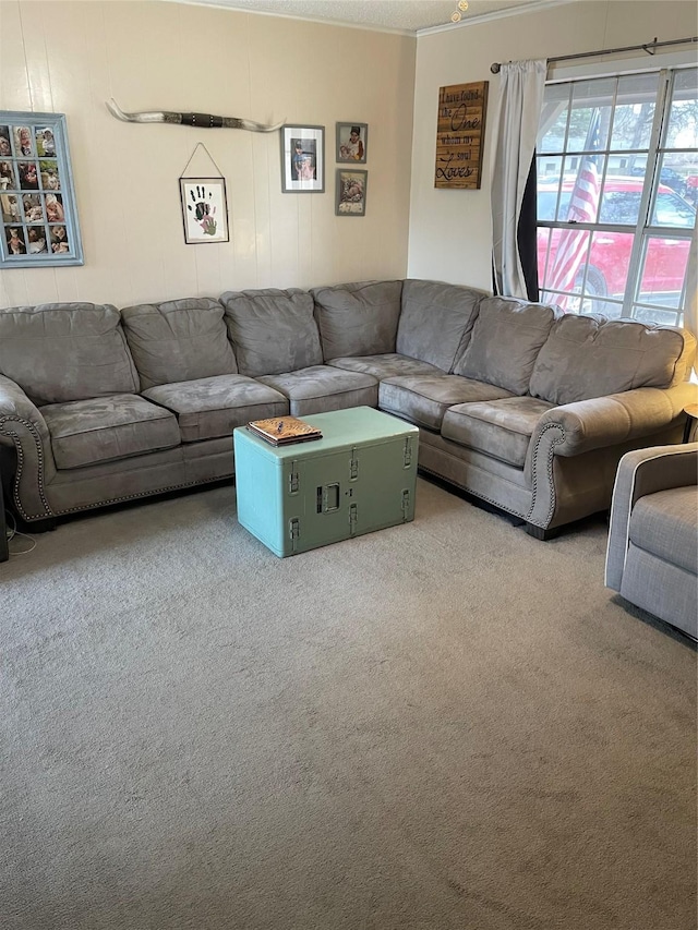 living room with carpet floors