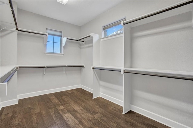 walk in closet featuring hardwood / wood-style flooring