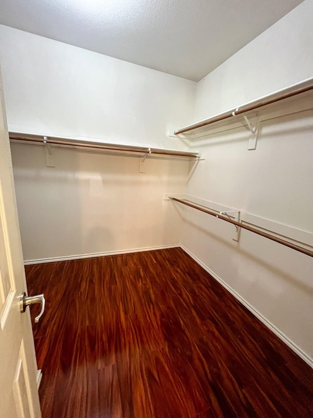 spacious closet with wood-type flooring