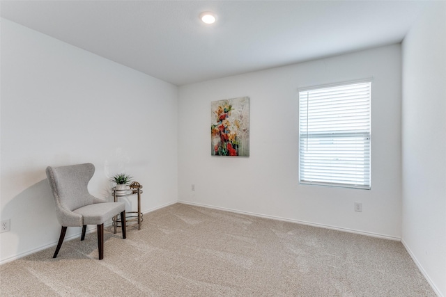 sitting room with light carpet