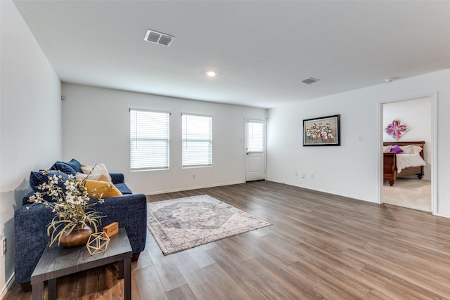 living room featuring hardwood / wood-style flooring