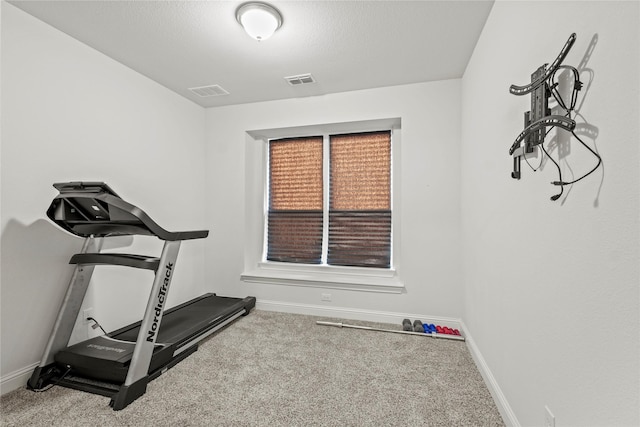 exercise area with carpet