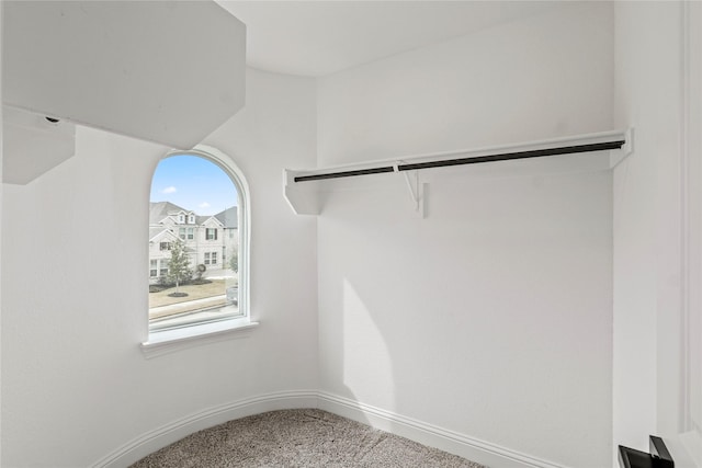 spacious closet with carpet