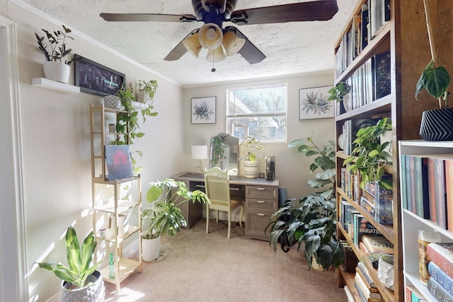 carpeted office space with ceiling fan, crown molding, and a textured ceiling