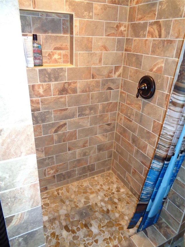 bathroom featuring a shower with curtain