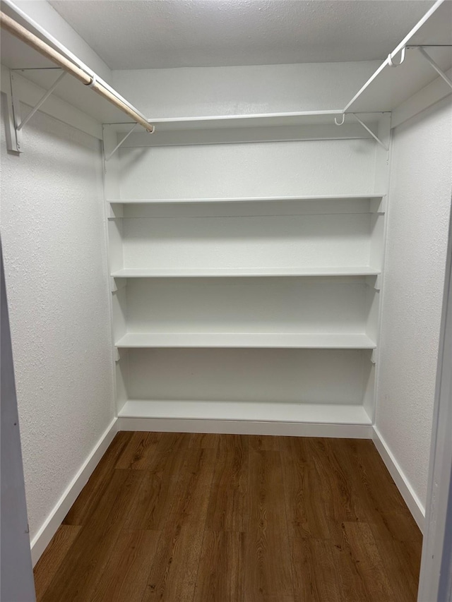 spacious closet featuring dark hardwood / wood-style floors