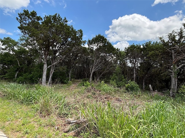 6447 Archerfield Ct E, Cleburne, TX 76033