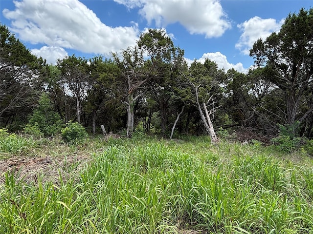 6447 Archerfield Ct E, Cleburne, TX 76033