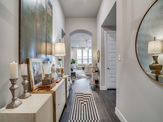 hallway with dark hardwood / wood-style floors