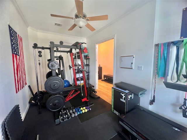 exercise room with ceiling fan and crown molding