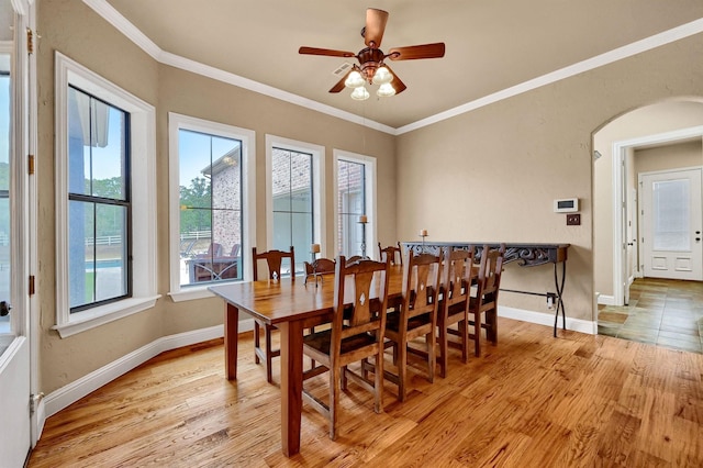 dining area featuring ceiling fan, ornamental molding, and light hardwood / wood-style floors