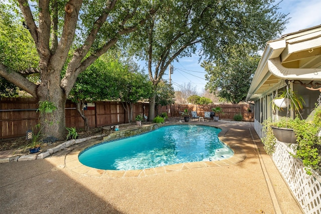 view of pool with a patio