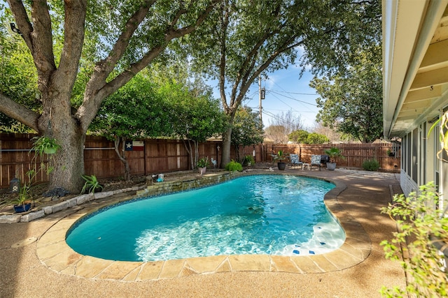 view of pool with a patio