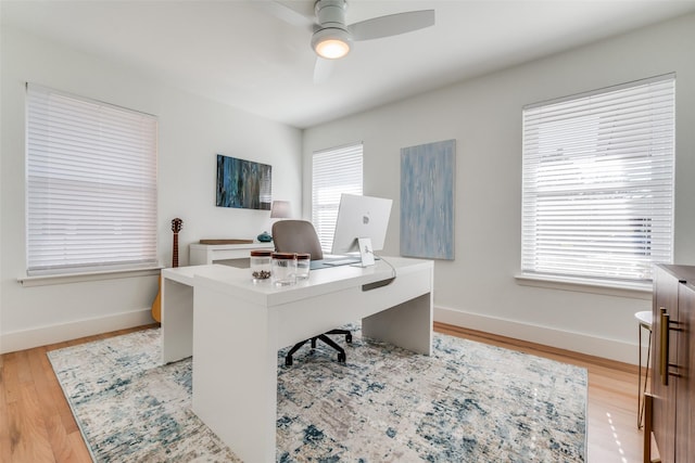 office space with ceiling fan and light wood-type flooring