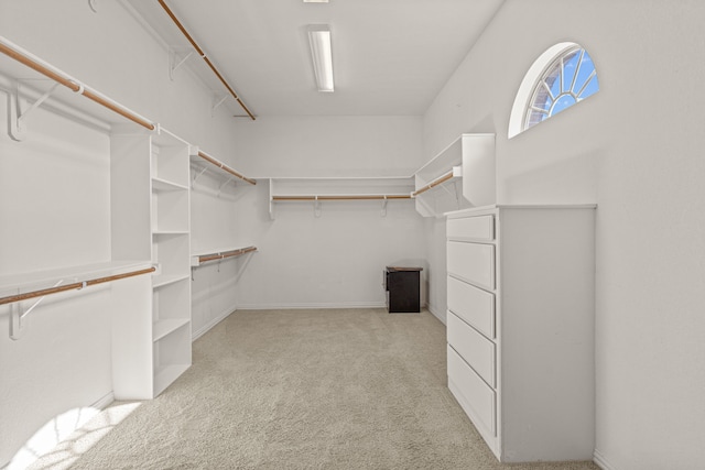 spacious closet with light colored carpet