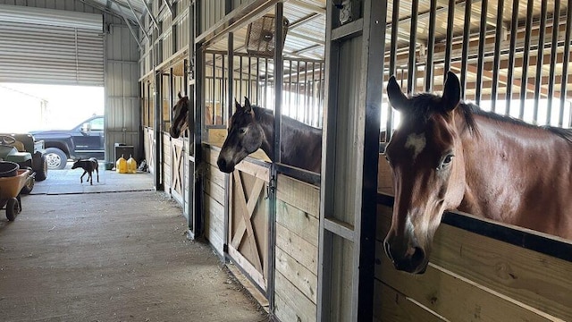 view of horse barn