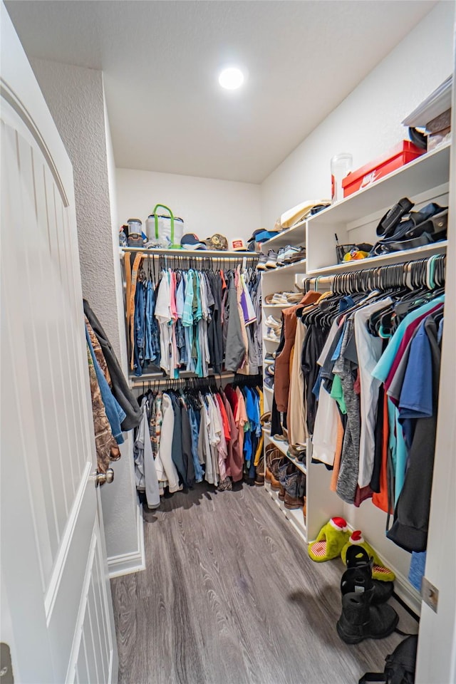 spacious closet with hardwood / wood-style floors