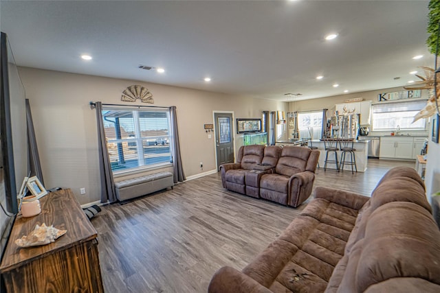 living room with a wealth of natural light, wood-type flooring, and sink