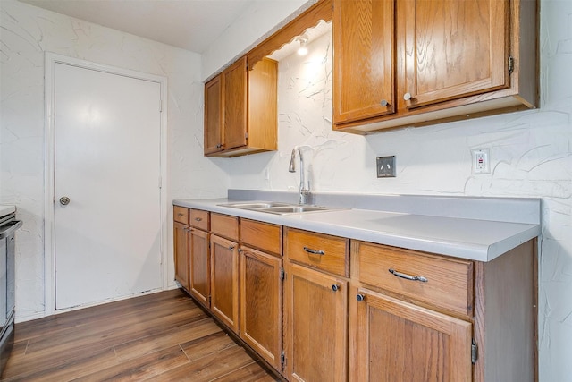 kitchen featuring dark wood-type flooring and sink