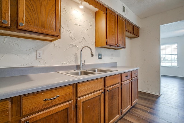 kitchen featuring dark wood-type flooring and sink