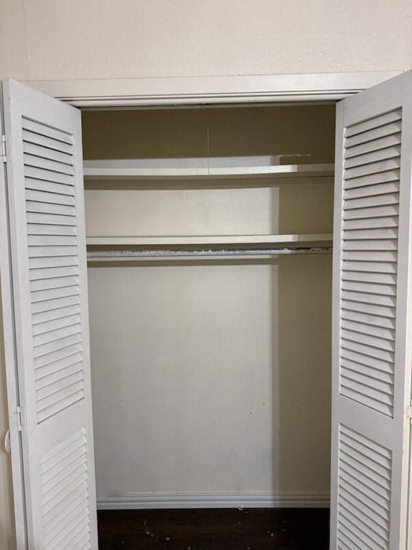view of closet