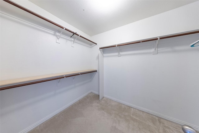 walk in closet featuring light carpet