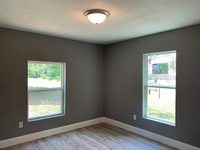 empty room with a wealth of natural light and light hardwood / wood-style flooring