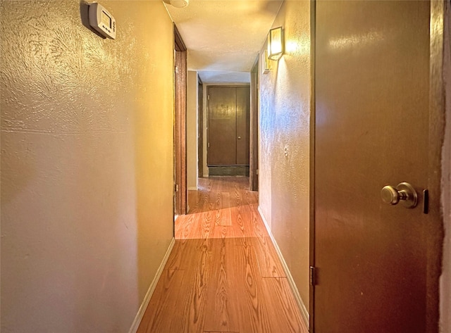 corridor with light wood-type flooring