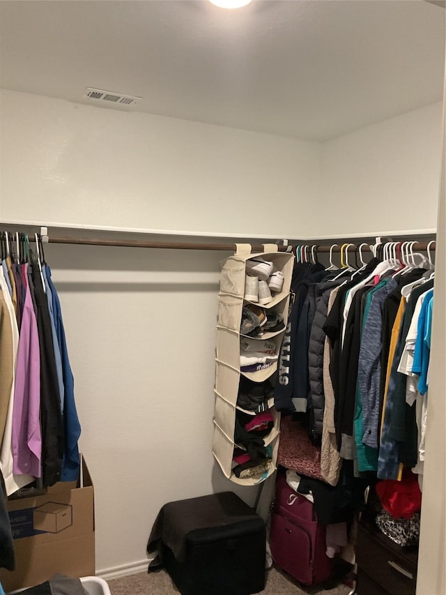 spacious closet featuring carpet flooring