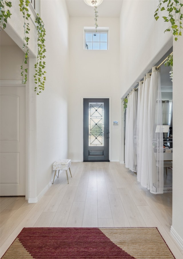 foyer entrance with light hardwood / wood-style flooring, a towering ceiling, and a wealth of natural light