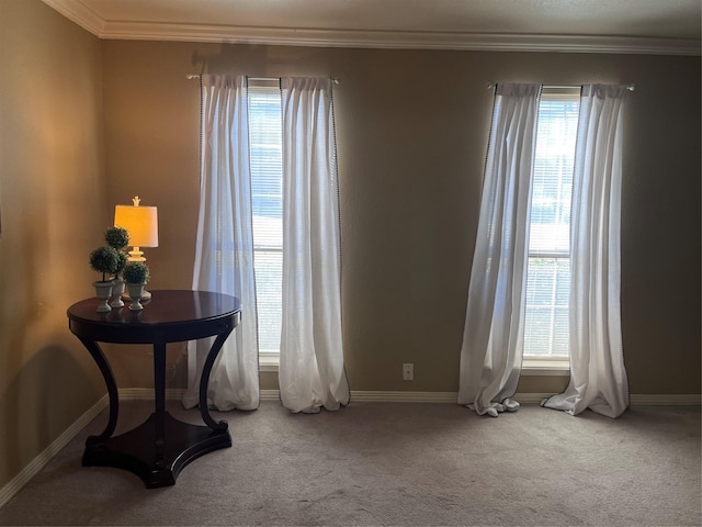 unfurnished room with crown molding and carpet flooring