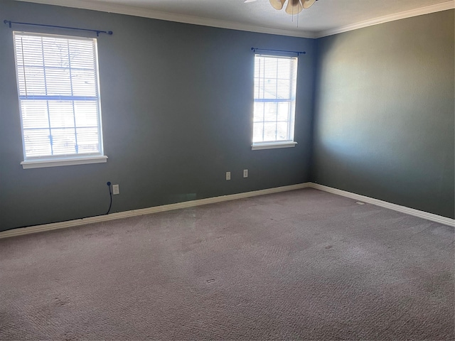 unfurnished room with ceiling fan, ornamental molding, and carpet floors