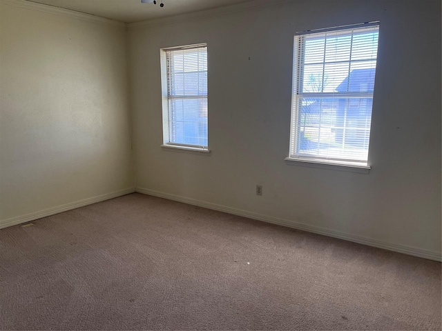 empty room with ornamental molding and carpet flooring