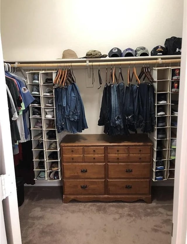 walk in closet featuring carpet floors