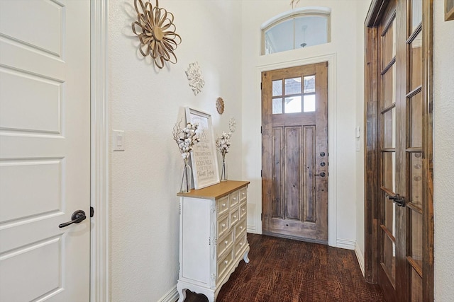 entryway with dark wood-type flooring