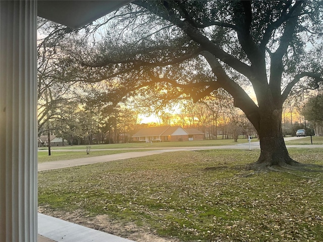 view of home's community featuring a lawn