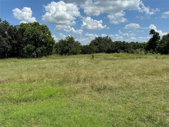 19078 White Bluff Dr, Whitney TX, 76692 land for sale