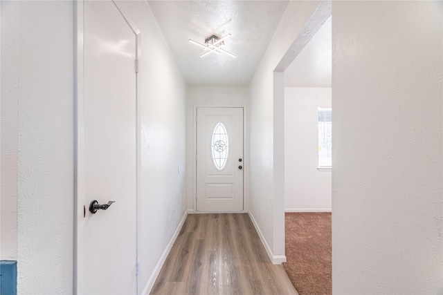 entryway featuring wood-type flooring