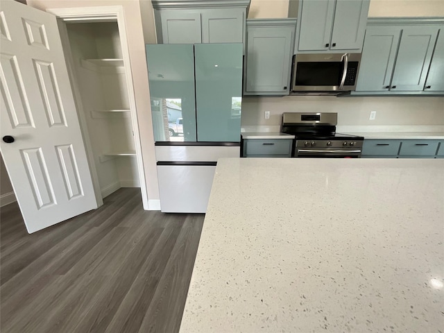 kitchen with stainless steel appliances and dark hardwood / wood-style floors