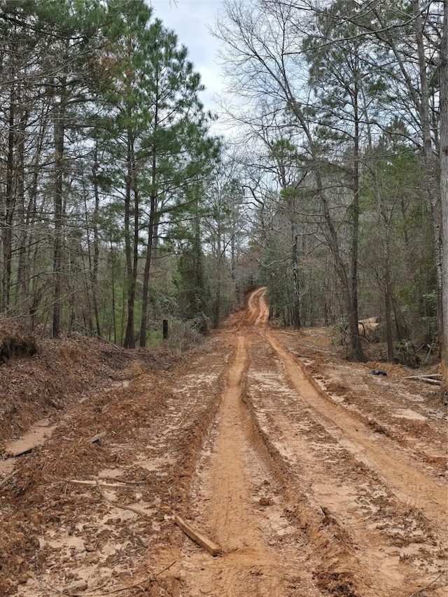 Listing photo 2 for TBD New Hope Rd, Gilmer TX 75645