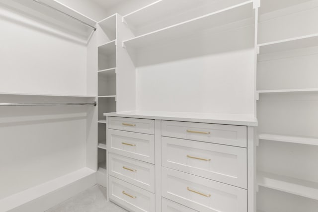 walk in closet with light colored carpet