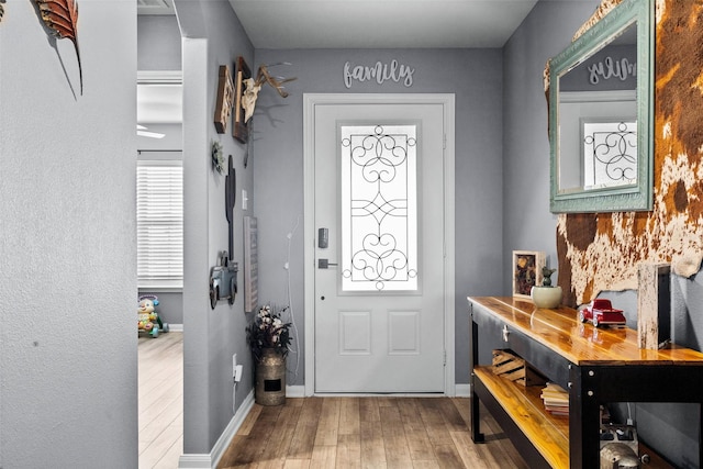 entrance foyer with hardwood / wood-style floors