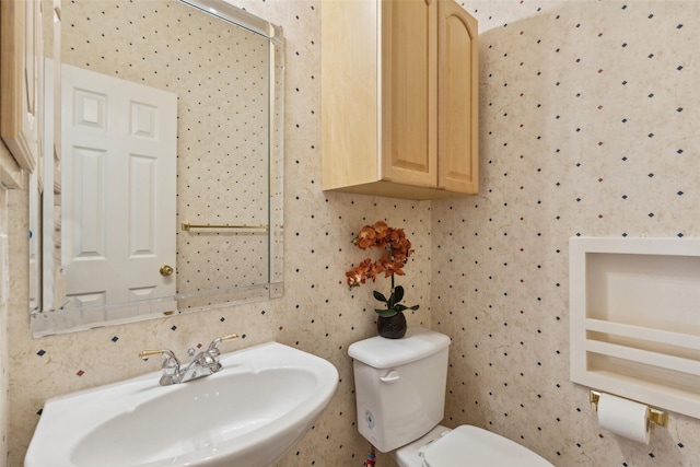 bathroom featuring sink and toilet