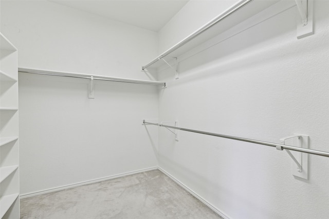 walk in closet with light colored carpet